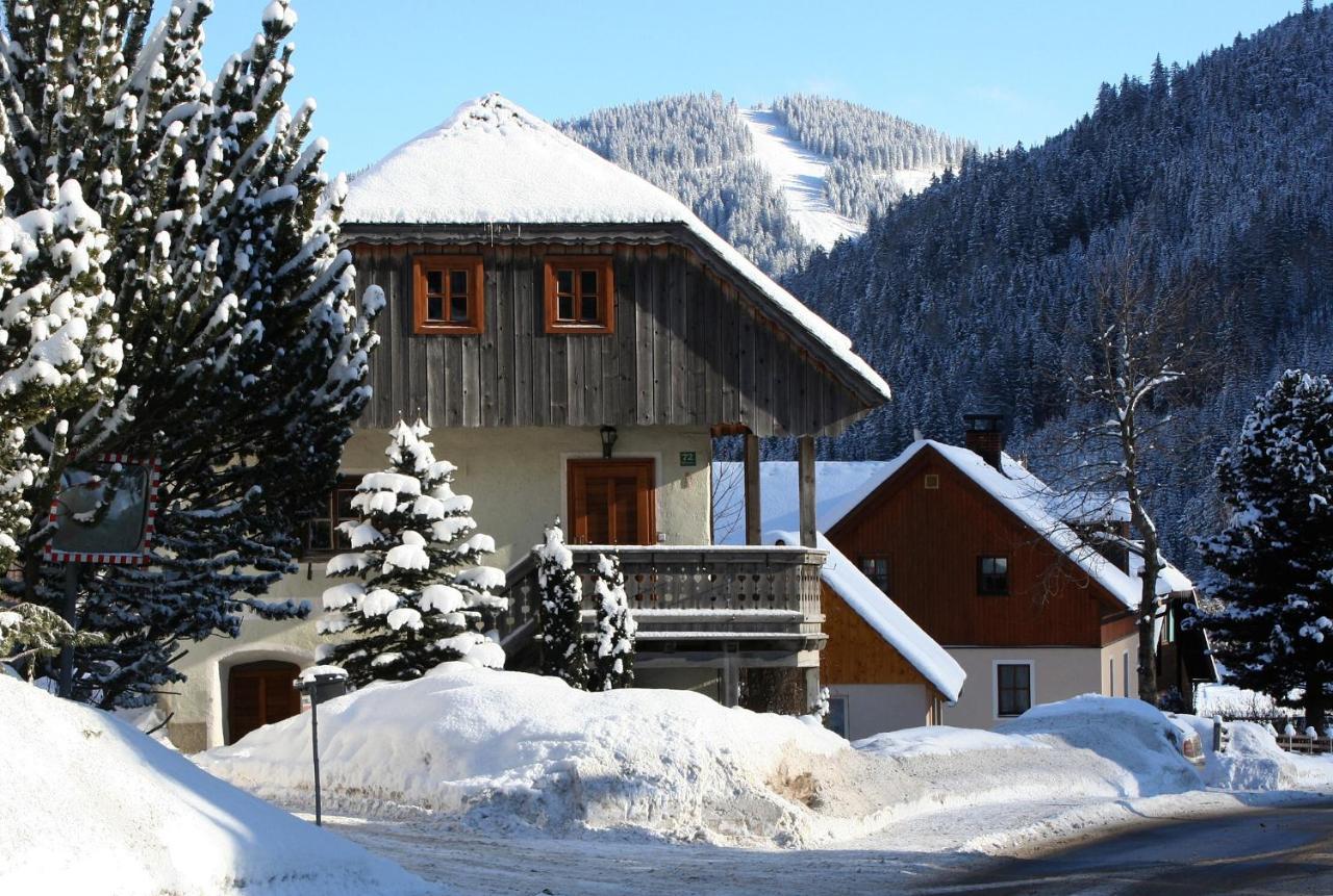 Ferienhaus Alte Muehle Hohentauern Kültér fotó